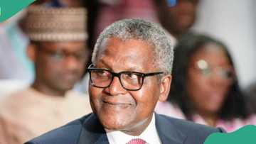 Dangote makes N71bn in 24 hours, maintains strong position among top 100 richest in the world