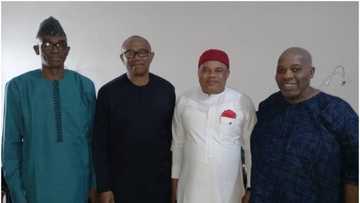 Yanzu-yanzu: Bayan fita daga PDP, Peter Obi ya koma jam'iyyar Labour Party