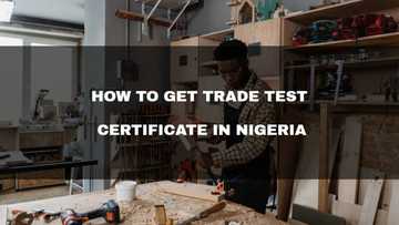 How to get Trade Test Certificate in Nigeria: a helpful guide