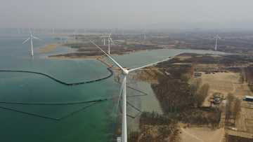 Clean energy giant Goldwind leads China's global sector push