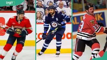 15 top African-American NHL players who are changing the game