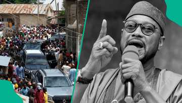 'Ba su da amana," Gwamnan Zamfara ya fadi matsayarsa kan sulhu da 'yan bindiga