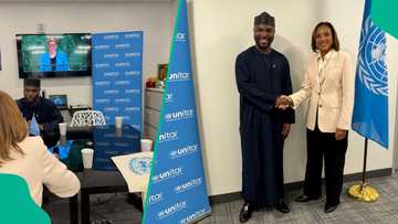 Why human capital development is central to Nigeria’s future, Tinubu’s aide speaks