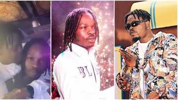 Passionate hug between rappers Olamide and Naira Marley gets people talking online (video)