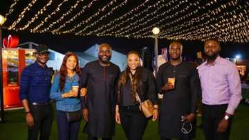 Nigerian Breweries Brands Brew a Fun-filled December at Wonderland!
