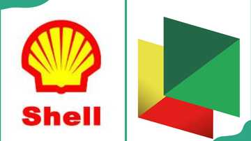 SNEPCo scholarship requirements and how to submit your application