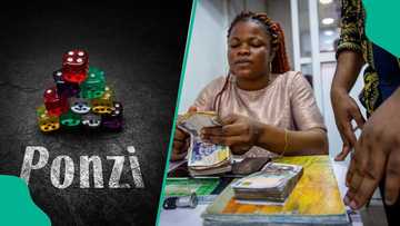 Another Ponzi scheme: Nigerians lose millions as online investment platform PXES suddenly crashes