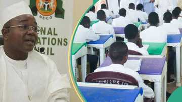 How to check 2023 NECO results explained in simple steps
