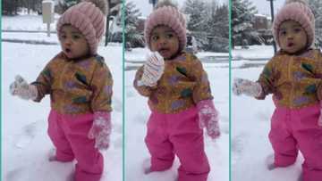 "My son talks like this": Funny video captures Little girl speaking to snow in gibberish
