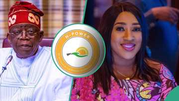 “Collective request”: Fresh twist as N-Power reps forum ask FG to pay N360k arrears to beneficiaries