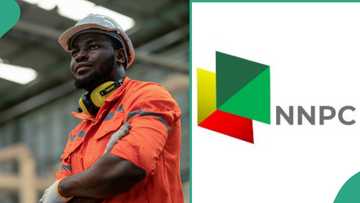 "Apply": Man Breaks Silence About NNPC Job Recruitment As Company Opens Application Portal