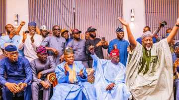 2023 presidential election: Full results of states won by Bola Tinubu