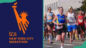Everything everyone running through five boroughs for the New York City Marathon 2026 needs to know