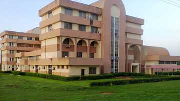 Mun ba ASUU da Gwamnati kwana 7 a bude Makarantu ko kuma ... – Kungiyar Dalibai