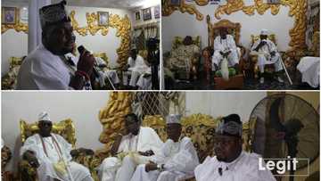 2023: Lagos APC chieftain Oluomo declares intention to run for House of Reps, gives vital reasons