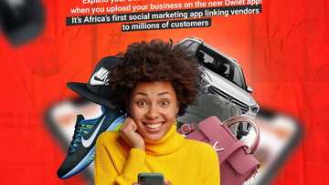 The Owlette: Cheapest Way to Sell Your Product Online