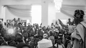 Yadda Bola Tinubu ya sha gaban Osinbajo, Amaechi, Lawan da duk masu neman takara