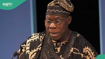 Obasanjo recounts why he rejected gift from late Emir Lamido during his days in Yola prison