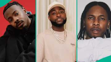 From Studio to Stage: Davido and 6 other Nigerian producers who found success as artiste