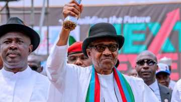 Just in: Days to rescheduled polls, Katsina rice farmers pledge, drum support for Buhari