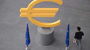 ECB set to hold rates steady with eye on France crisis