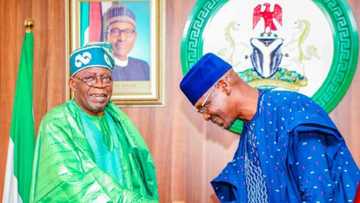Gwamnan Babban Jiha A Arewa Ya Bayyana Yawan Shekarun Da Tinubu Zai Yi Kan Mulki Bayan Buhari