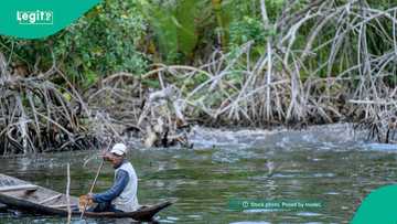 Family shares sad account of cousins drowning in Oyo River, describes rescue attempt