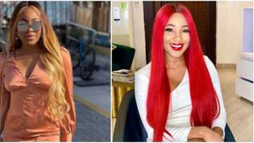 BBNaija's Erica excited as she hits 500k followers on Twitter