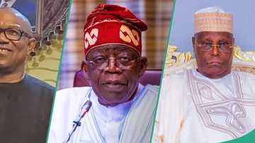 Peter Obi/Atiku vs Tinubu: Cleric shares 'prophecy' on when "a new Nigeria" will come