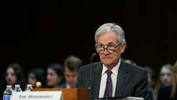 US Fed chair says in no rush to tweak interest rate policy