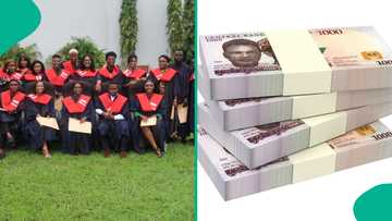 200 million naira yearly: 6 master's degrees with the highest earning potential in 2025