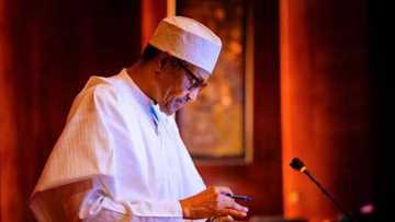 Buhari ya Kara Alawus din Tafiye-tafiye: 250% na Manyan Sakatarorin Gwamnati, 128% na Ministoci