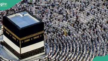 NAHCON opens up on amount each pilgrim was supported with for 2024 hajj