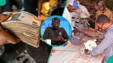 FG launches new programme to train 1.3 million youths in practical skills, pays N22,500 monthly