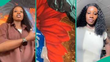 Lady finds scary item under pillow after allowing TikTok friend come over to her house, posts video