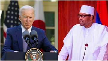 President Joe Biden holds important discussions with Buhari, other World leaders