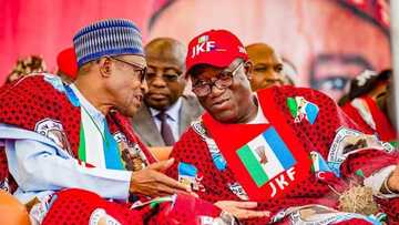 Financial autonomy: Presidency says no going back as 36 governors finally bows for executive order 10