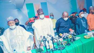 2023: Prominent APC chieftain reveals zone that will produce Buhari’s successor