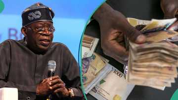 Nigeria's fiscal deficit widens as FG spends more than revenue
