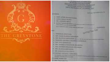 Important Public Disclaimer: Court warns against Greystone Residence Located at Maryland, Lagos