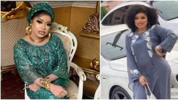 Fans ask Bobrisky to return bag filled with naira notes he showed off, he says it's the reason people hate him