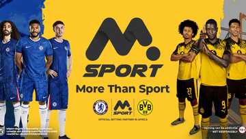 MSport 2025: Nigeria’s #1 sports betting site powered by Chelsea & BVB