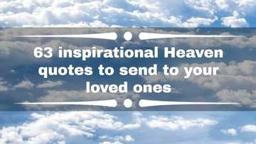 63 inspirational heaven quotes to send to your loved ones