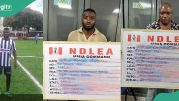 NDLEA arrests former Nigerian footballer, business partner for attempting to smuggle drugs