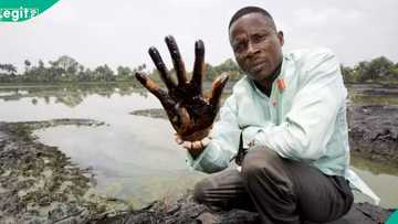 Nanotechnology breakthrough raises hope of long-standing Niger Delta environmental damage