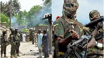 Boko Haram: 'Yan ta'adda sun kai sabon hari Magumeri, sun halaka mutum 3