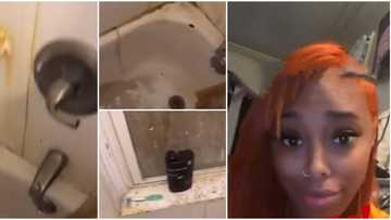 Run and don't come back; Reactions as lady shares video of the bathroom of man she visited for the first time