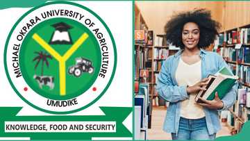 MOUAU portal: how to check admission status on portal and JAMB, and next steps