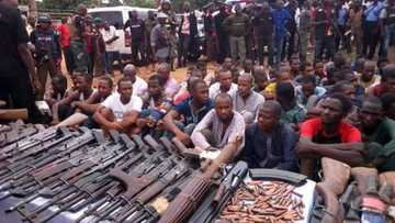 ‘Yan sanda sun damke gaggan masu garkuwa da mutane 33 da ‘yan fashi da makami 10 a jihar Adamawa