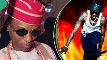 “Wizkid is a solid brand”: Singer brags, says he doesn’t joke with his name, Davido's fans react